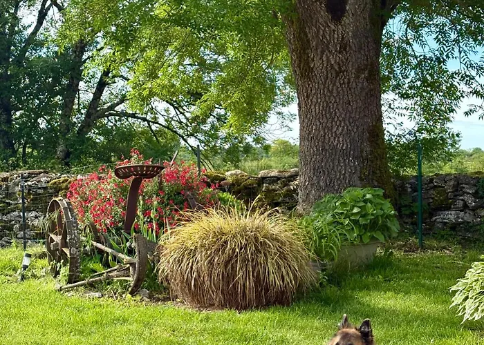 La Gaillardenque - And Holiday home *