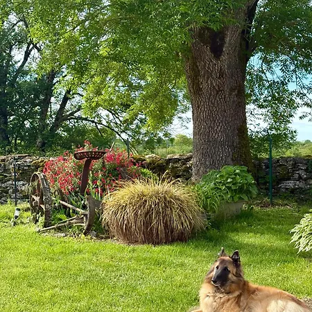 La Gaillardenque - And Nyaraló *